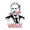 Llibertat Assange