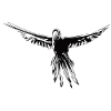 Flying parrot