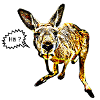 Kangaroo