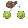 New Zealand kiwi bike
