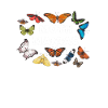 Moth Maniac - White Lettering
