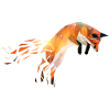 Fox geometric motif