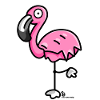 flamingo
