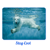 polar bear