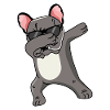 French bulldog dabbing dancing funny