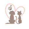 dog and cat
