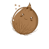 cheerful coconut