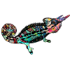 Horn Chameleon