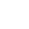 Violin violin