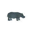 HIPPO