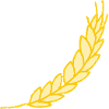 Ear of wheat