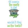 Flat earth turtle