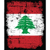 Vlag Libanon Libanon Vlag LebanOn Ce ceor Beiroet
