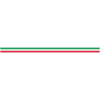 Flag Italy