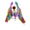 Basset Hound Dog Splash