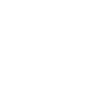 Schnauzer géant