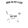 Comment caresser un chat