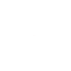 Shiba Inu