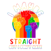 LGBT Rainbow Straight