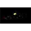 Magie Ayrton Senna
