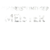 Schornsteinfeger Meister