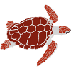 Turtle (red)