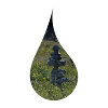 Relaxation in a drop