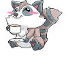 Funny raccoon drinking coffee