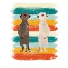Suricate rétro