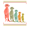 Erdmännchen