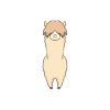 Llama