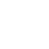 T-Rex Skeleton Tyrannosaurus Rex