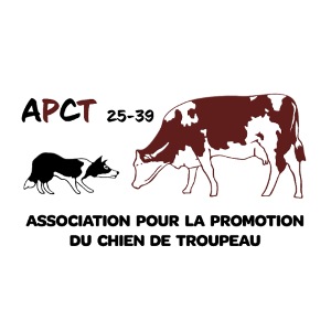 Logo Apct Fond Tranparent Mens Vintage T Shirt Concours International Bovin