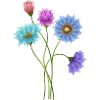 fleurs