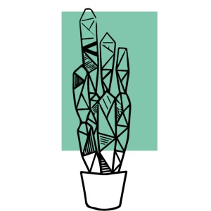 Kleiner Designer Kaktus