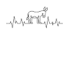 Donkey heartbeat