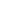 Evolution kite buggying