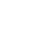 Evolution kite buggying