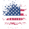 usa flag native