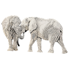 l'éléphant