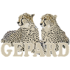 cheetah