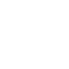 Berner Berghund