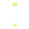 Horticulteur / Horticulture Plante