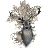 forest king