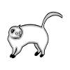 chat