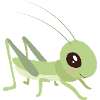 Grasshopper - grasshopper