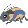 insecte