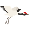 crane