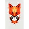 Fox geometric