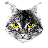 Katzengesicht
